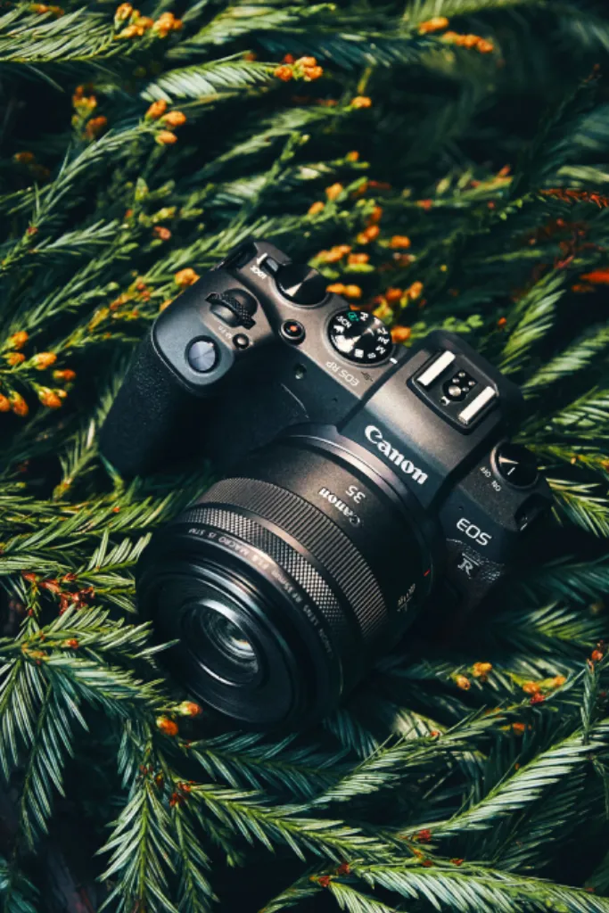 Canon case study
